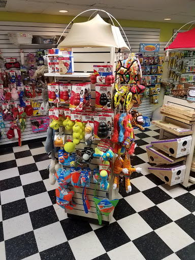 Pet Supply Store «Local Pet», reviews and photos, 415 Gettysburg St #1, Pittsburgh, PA 15206, USA