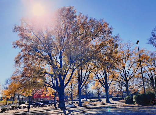 Grocery Store «BI-LO», reviews and photos, 6 K-Mart Plaza, Greenville, SC 29602, USA