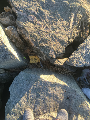 Nature Preserve «Welwyn Preserve», reviews and photos, 100 Crescent Beach Rd, Glen Cove, NY 11542, USA