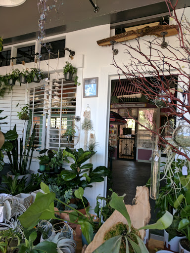 Gurton's Plant Shop