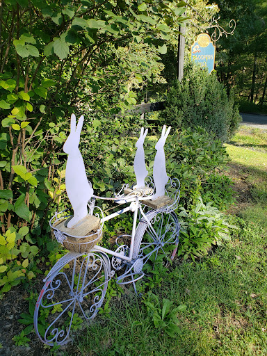 Farm «Blooming Hill Lavender Farm», reviews and photos, 19929 Telegraph Springs Rd, Purcellville, VA 20132, USA