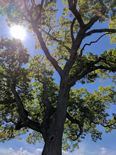 Park «Forge Pond Park», reviews and photos, 245 King St, Hanover, MA 02339, USA