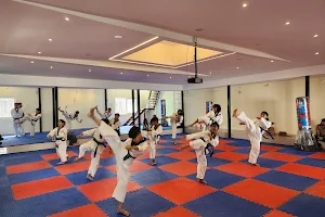 MeRitSfit Taekwondo Academy(Martial arts and Fitness Institute) image
