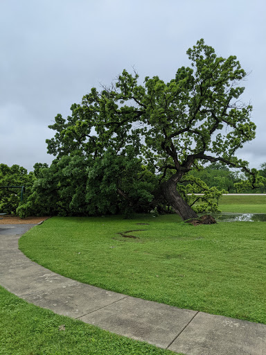 Park «Glendale Park», reviews and photos, 1515 E Ledbetter Dr, Dallas, TX 75216, USA