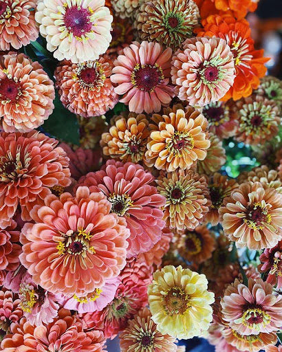 Florist «A Village of Flowers», reviews and photos, 1712 21st Ave S, Nashville, TN 37212, USA