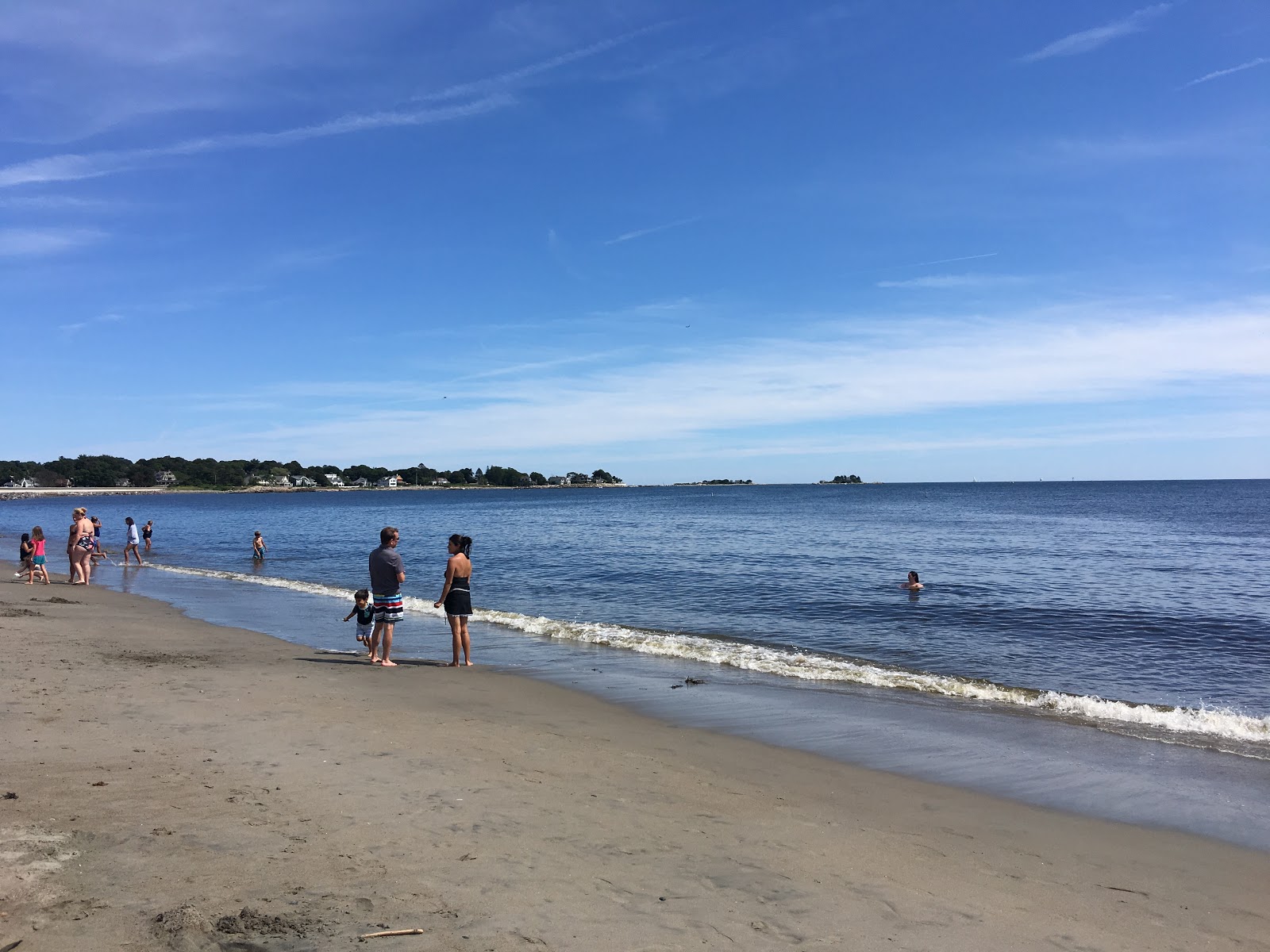 Zdjęcie Devereux beach z powierzchnią szary piasek i kamyczki