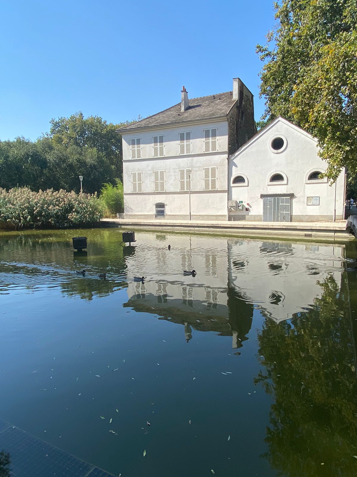 Photo n° 18 de l'avis de Himherandmore. fait le 10/09/2023 à 12:08