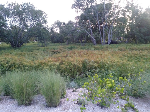 Park «Royal Palm Park», reviews and photos, 1701 NW 38th St, Oakland Park, FL 33309, USA