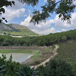 Photo n°1 de l'avis de Gabriele.a fait le 28/08/2018 à 15:25 sur le  Agriturismo Tenute Pispisa à Calatafimi-Segesta