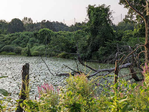 Park «Vietnam Veterans Park», reviews and photos, Treble Cove Rd, Billerica, MA 01821, USA