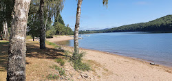 Soleil Levant Plage'in fotoğrafı ve yerleşim
