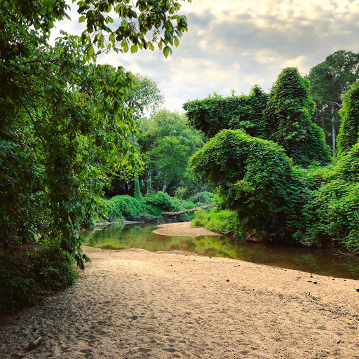 Nature Preserve «Daniel Johnson Nature Preserve», reviews and photos, 1301 Beech Valley Rd NE, Atlanta, GA 30306, USA