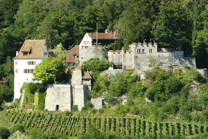 Trostburg Castle image