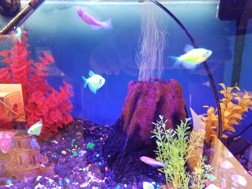 Pet Store «Pet World Warehouse Outlet», reviews and photos, 2984 S 108th St, Milwaukee, WI 53227, USA