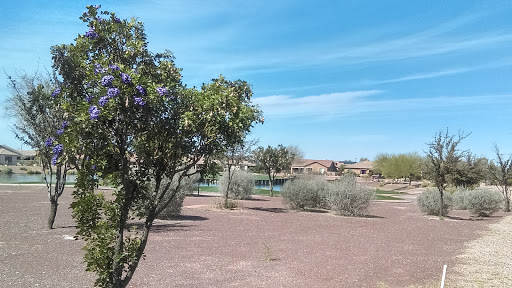 Home Builder «Sun City Anthem at Merrill Ranch by Del Webb», reviews and photos