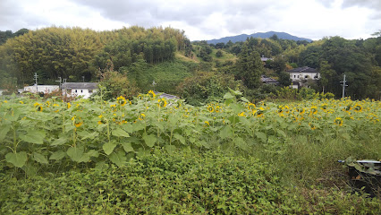 アズマ養蜂場(みつばち博物館)