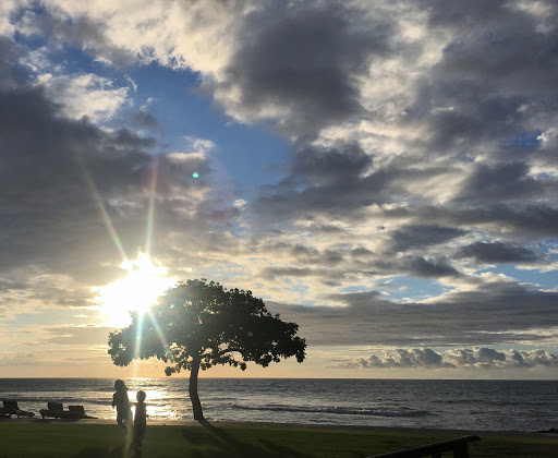 Travel Agency «Hawaiian Travel», reviews and photos, 5005 W Royal Ln #294, Irving, TX 75063, USA