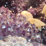 Photo n°6 de l'avis de Kathleen.a fait le 02/08/2023 à 15:06 sur le  Steiger Parkhotel Hohnstein à Hohnstein