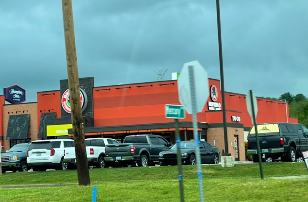 Wings and Rings 42501