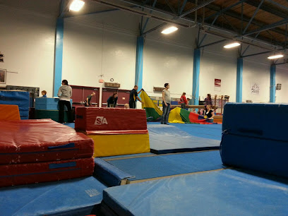 Flicka Gymnastics Club