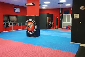 Α.Σ.Φ. TAEKWON-DO ΑΓ. ΠΑΡΑΣΚΕΥΗΣ image