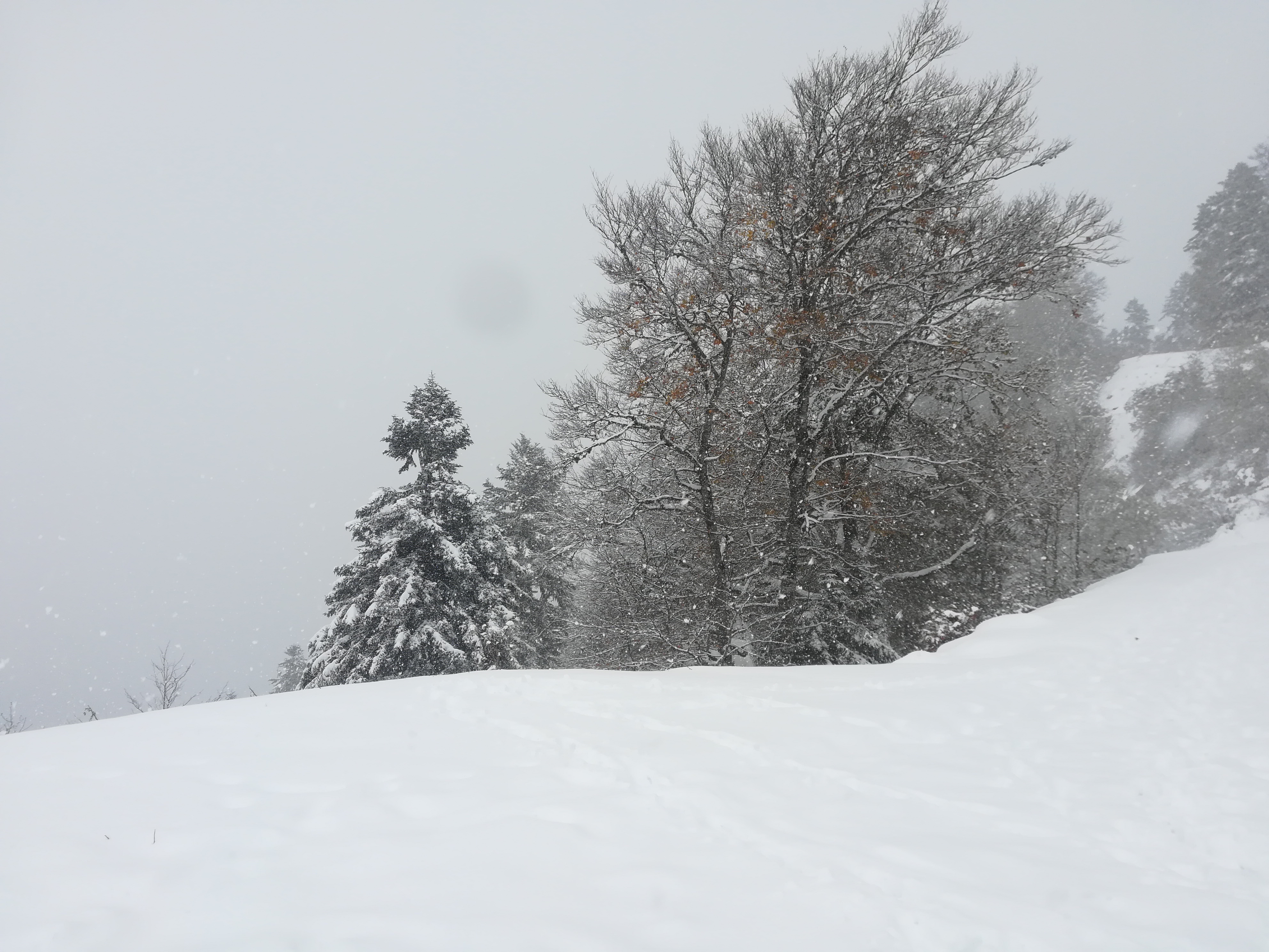 Photo n° 1 de l'avis de Gilles.m fait le 11/11/2019 à 13:48