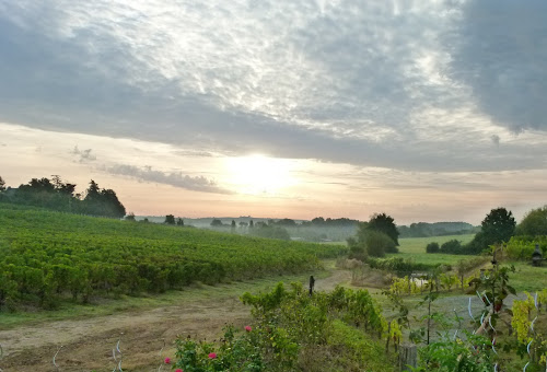 Domaine Dhommé à Chalonnes-sur-Loire