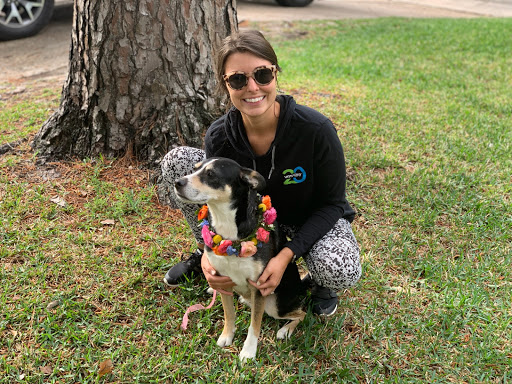 Tanning Salon «Texas Spray Tan, Spa & Boutique», reviews and photos, 7352 Senate Ave, Houston, TX 77040, USA