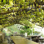 Photo n°16 de l'avis de Alexandra.i fait le 10/10/2020 à 18:12 sur le  Ristorante La Casina à Drena