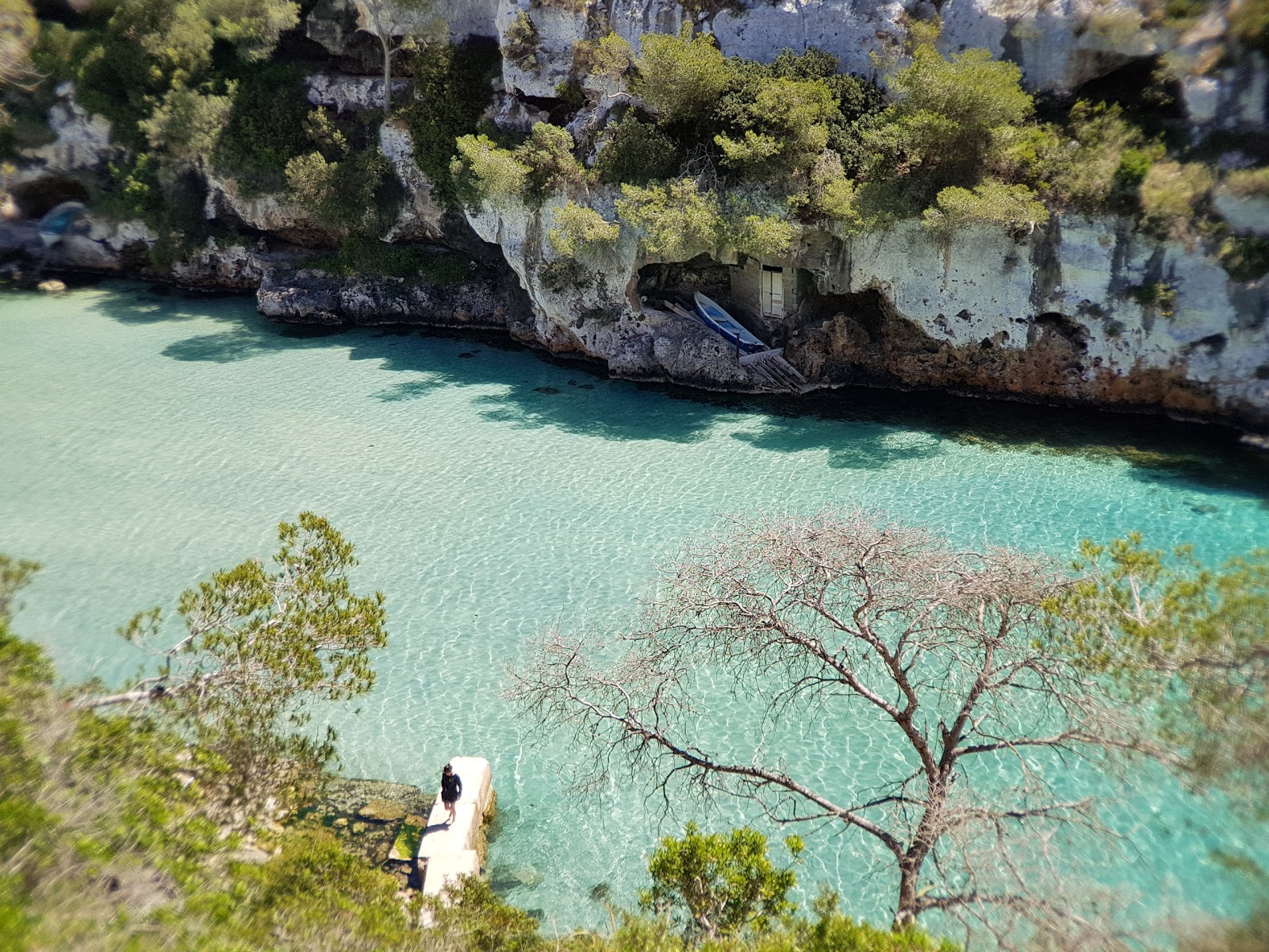 Photo de Plage de Cala Pi avec l'eau cristalline de surface