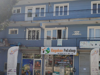 Kayahan Petshop Akvaryum Balık Avm