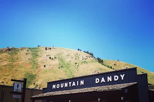Mountain Dandy image