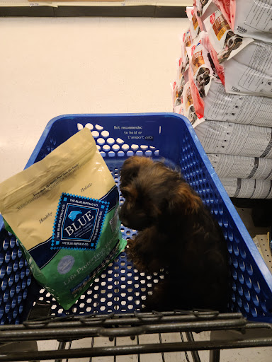 Pet Supply Store «PetSmart», reviews and photos, 7061 Youree Dr, Shreveport, LA 71105, USA