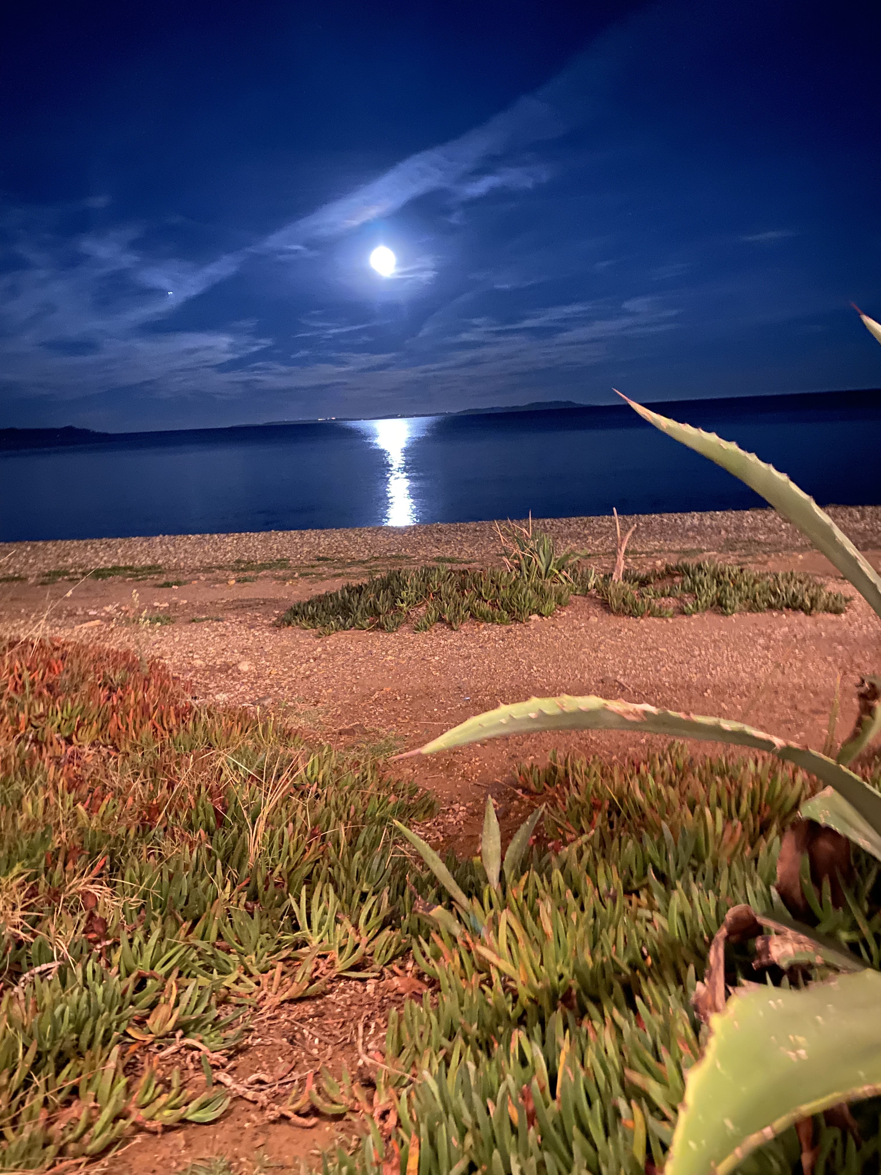 Photo n° 1 de l'avis de Valentine. fait le 13/09/2022 à 07:48