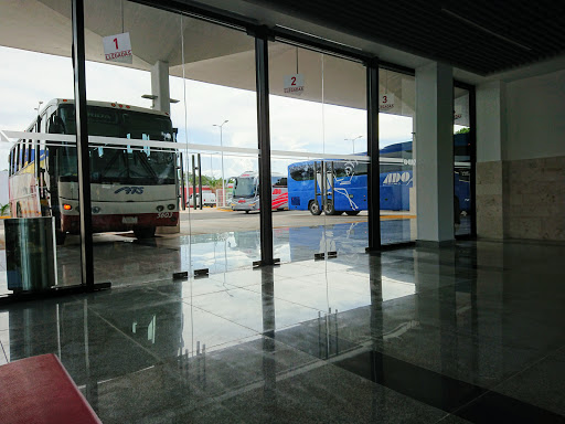 Fletador de autobuses Mérida