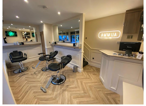 AMMUA Salon in Dublin, Co. Dublin
