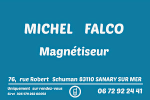 Falco Michel