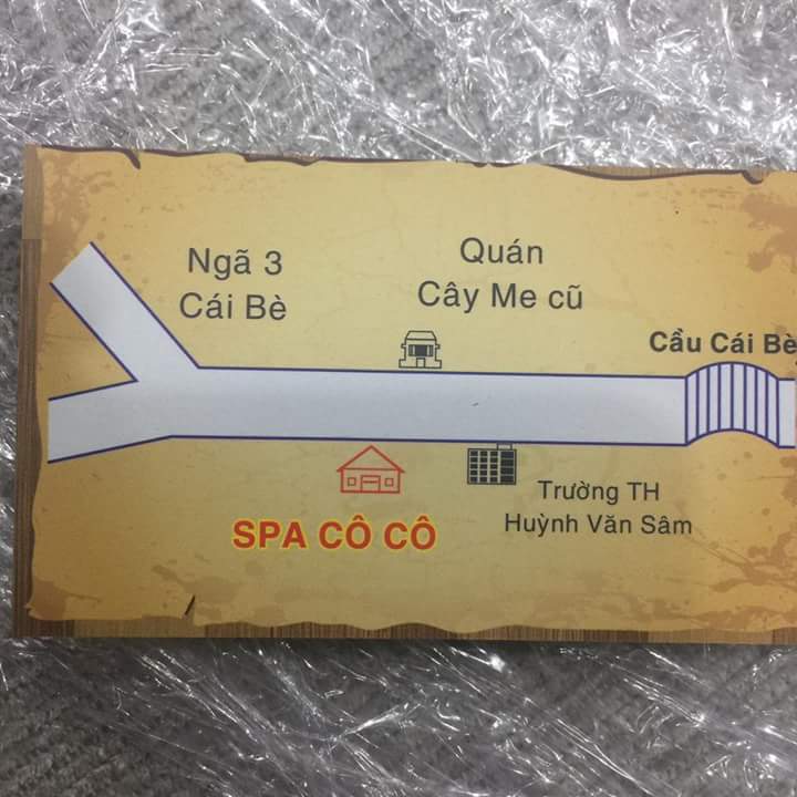 CÔ CÔ Spa and Hair Salon