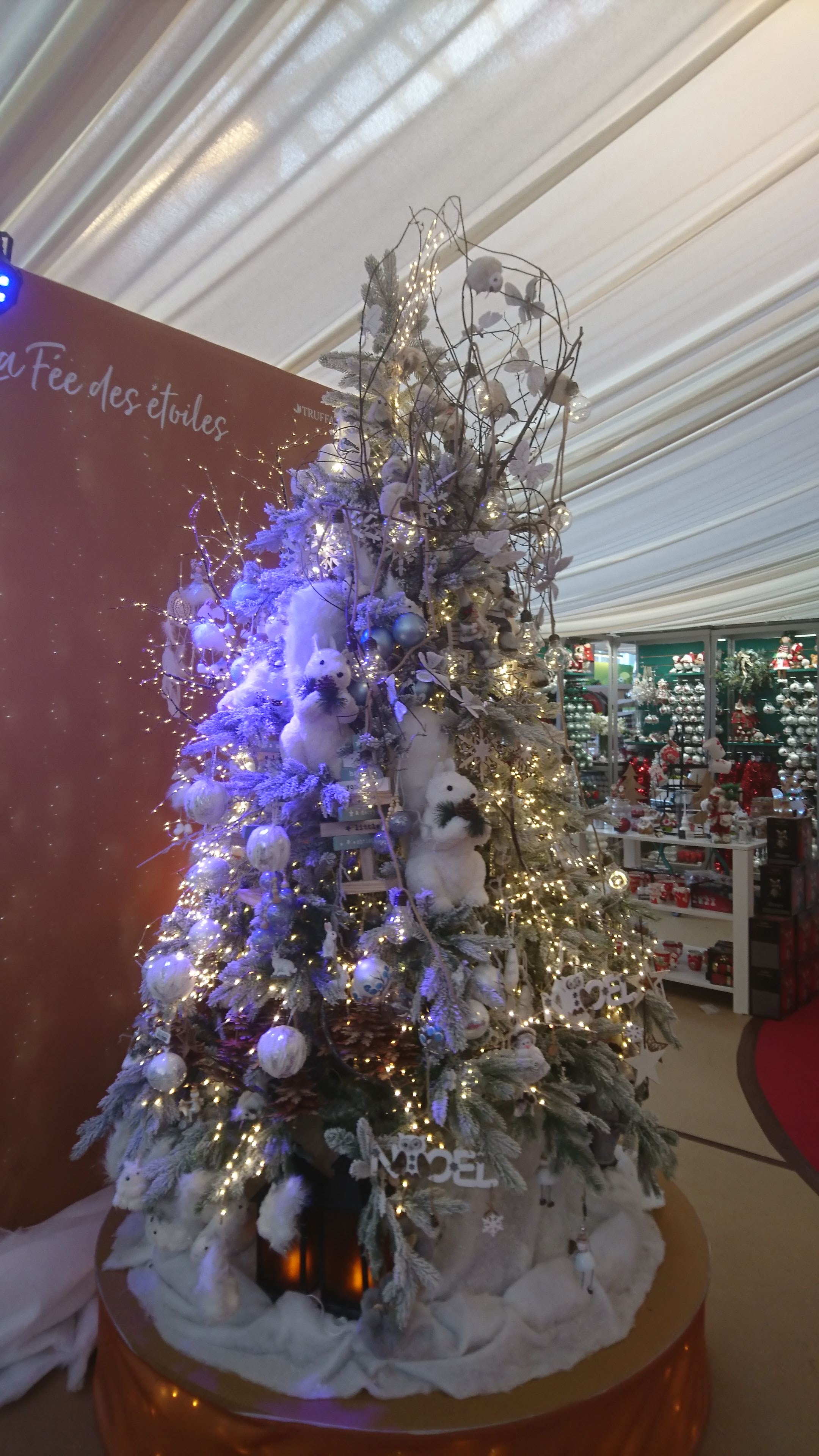 Photo n° 1 de l'avis de Patrice.a fait le 29/12/2018 à 22:22