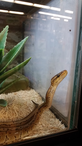 Pet Supply Store «Petco Animal Supplies», reviews and photos, 1753 St Lucie W Blvd, Port St Lucie, FL 34986, USA