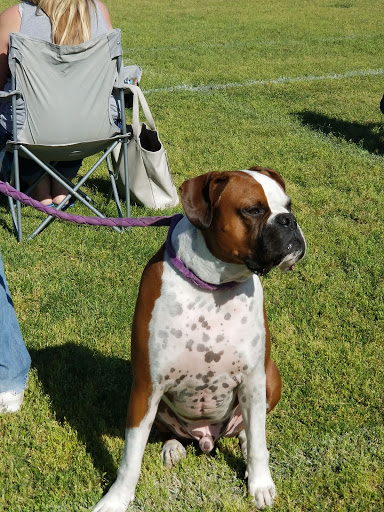 Park «Heers Park», reviews and photos, 6320 Plaza Verde Pl, Las Vegas, NV 89108, USA