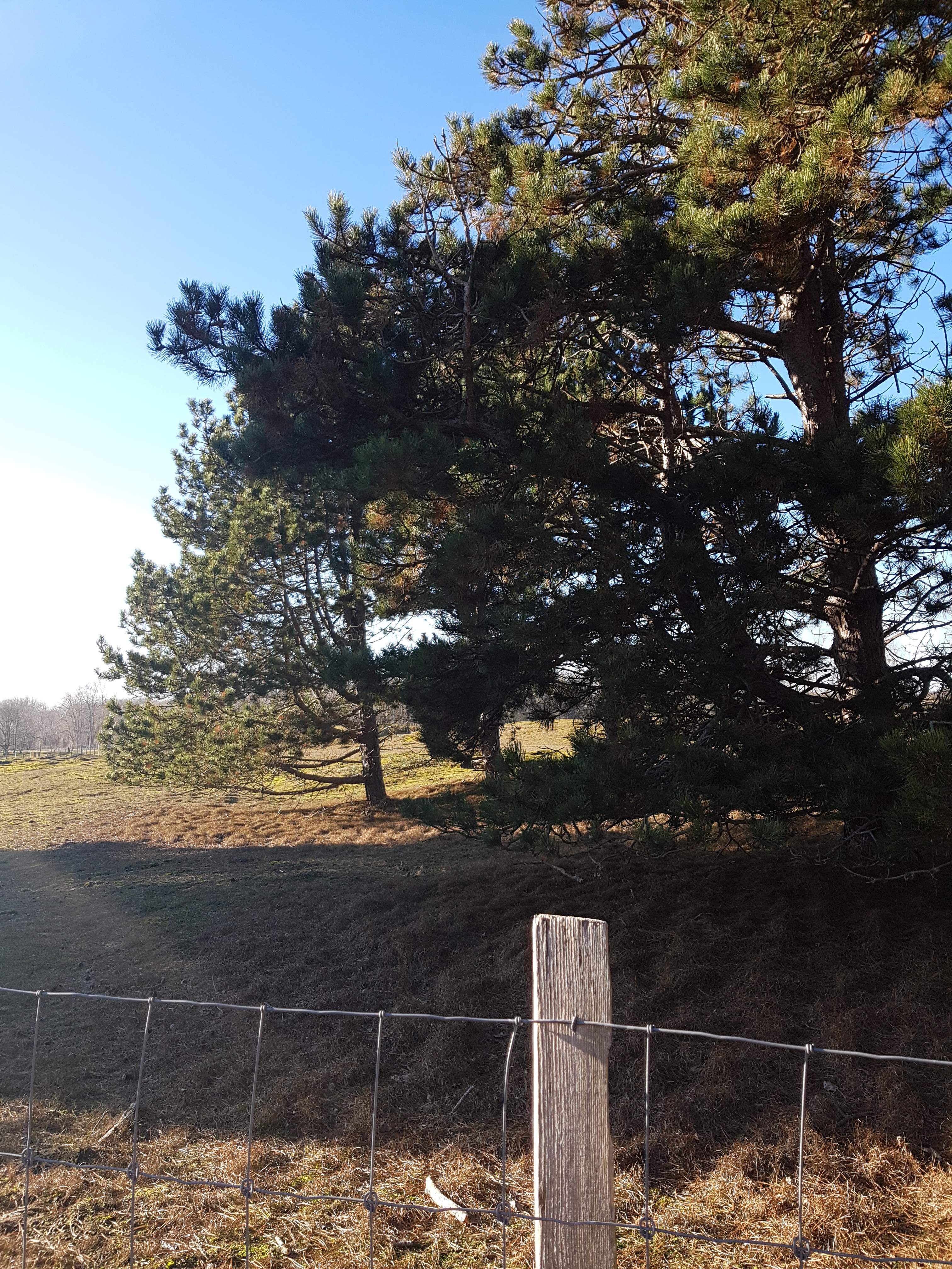 Photo n° 8 de l'avis de Nicolas.o fait le 03/02/2019 à 15:20