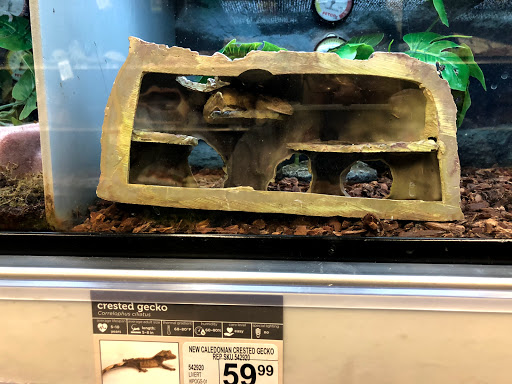 Pet Supply Store «Petco Animal Supplies», reviews and photos, 585 E Wetmore Rd, Tucson, AZ 85705, USA