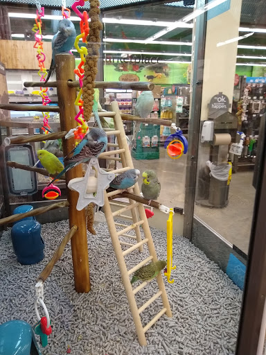 Pet Supply Store «Petco Animal Supplies», reviews and photos, 839 New York Ave, Huntington, NY 11743, USA