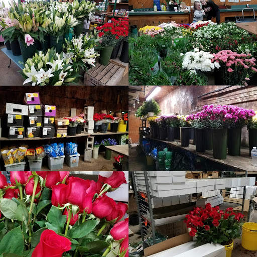 Florist «Hartstone Flower, Inc.», reviews and photos, 1275 Main St, South Weymouth, MA 02190, USA