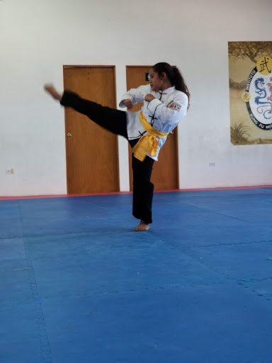 Instituto de Kung-Fu Monterrey