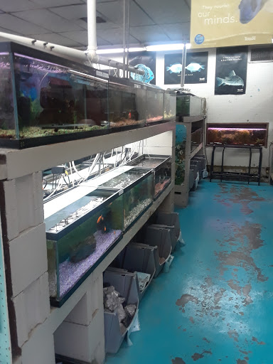 Pet Store «Southside Pet Shop», reviews and photos, 7031 Southside Dr, Louisville, KY 40214, USA