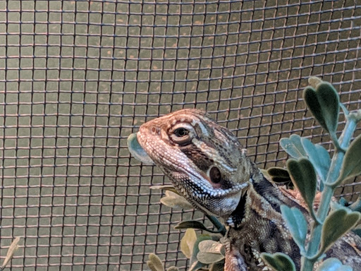 Pet Supply Store «Pet Supplies Plus», reviews and photos, 911 N Cable Rd a, Lima, OH 45805, USA