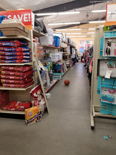 Dollar Store «FAMILY DOLLAR», reviews and photos, 165 Main St, Willimantic, CT 06226, USA