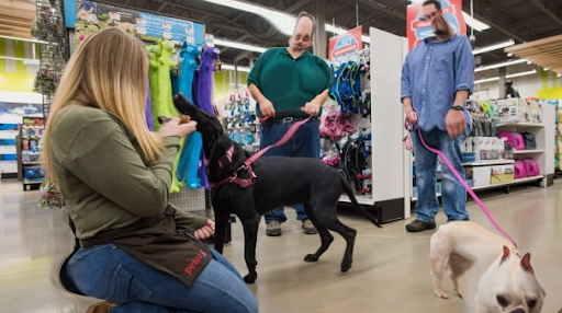 Pet Supply Store «Petco Animal Supplies», reviews and photos, 11639 S Pkwy Plaza Dr, South Jordan, UT 84095, USA